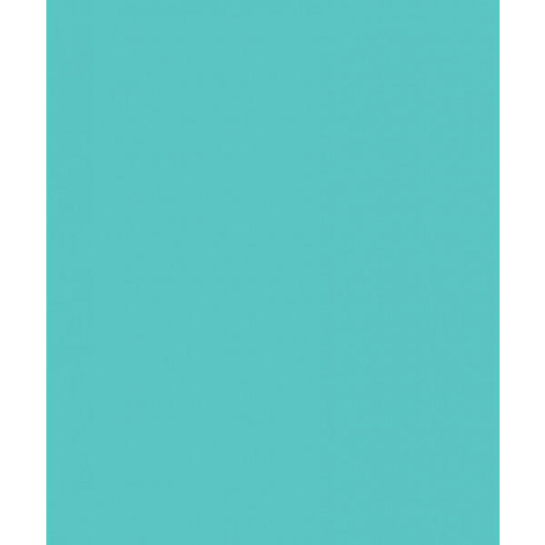 Фон Savage Widetone Baby Blue 1.36mx 11m`